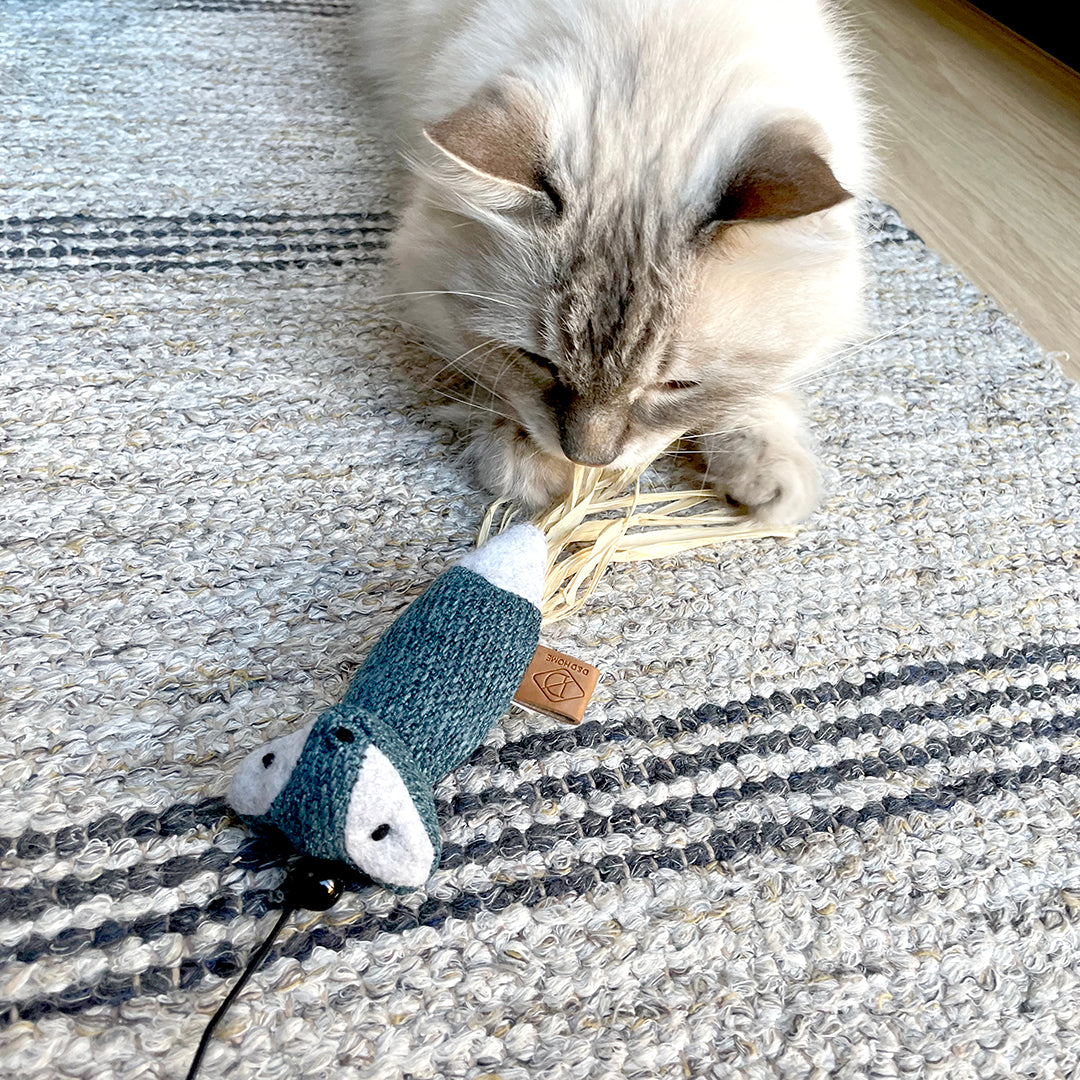 Rocco Renard canne à pêche pour chat